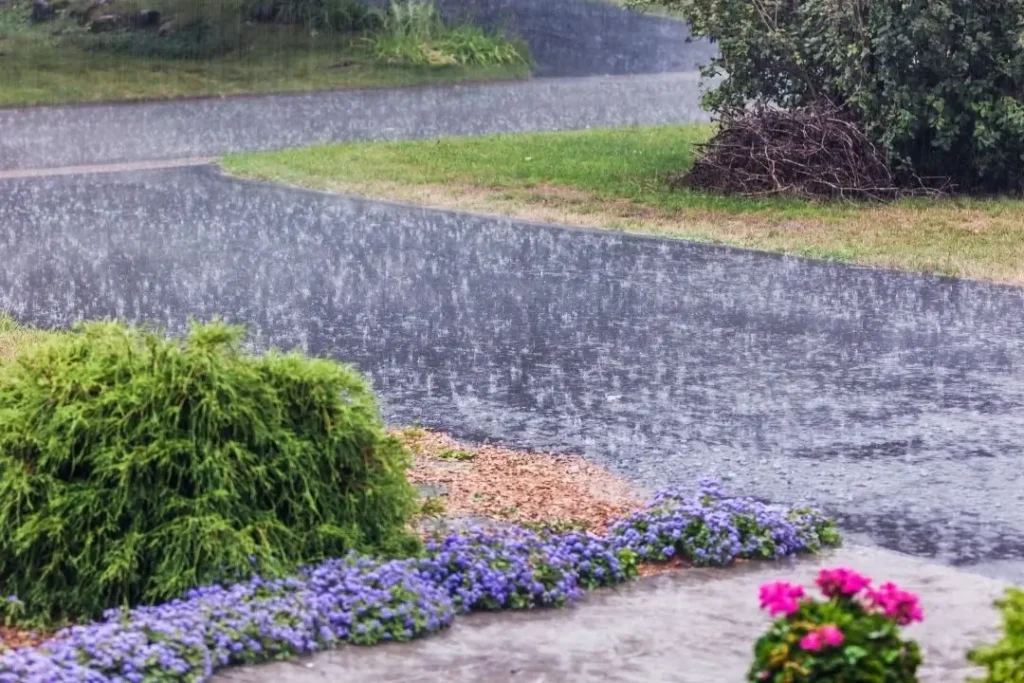 Rain downpour on driveway